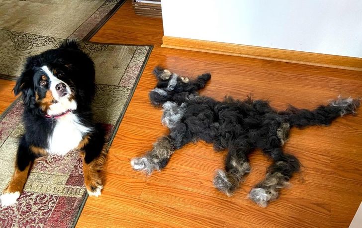 812ccd593e9ffb05ff47a91faf