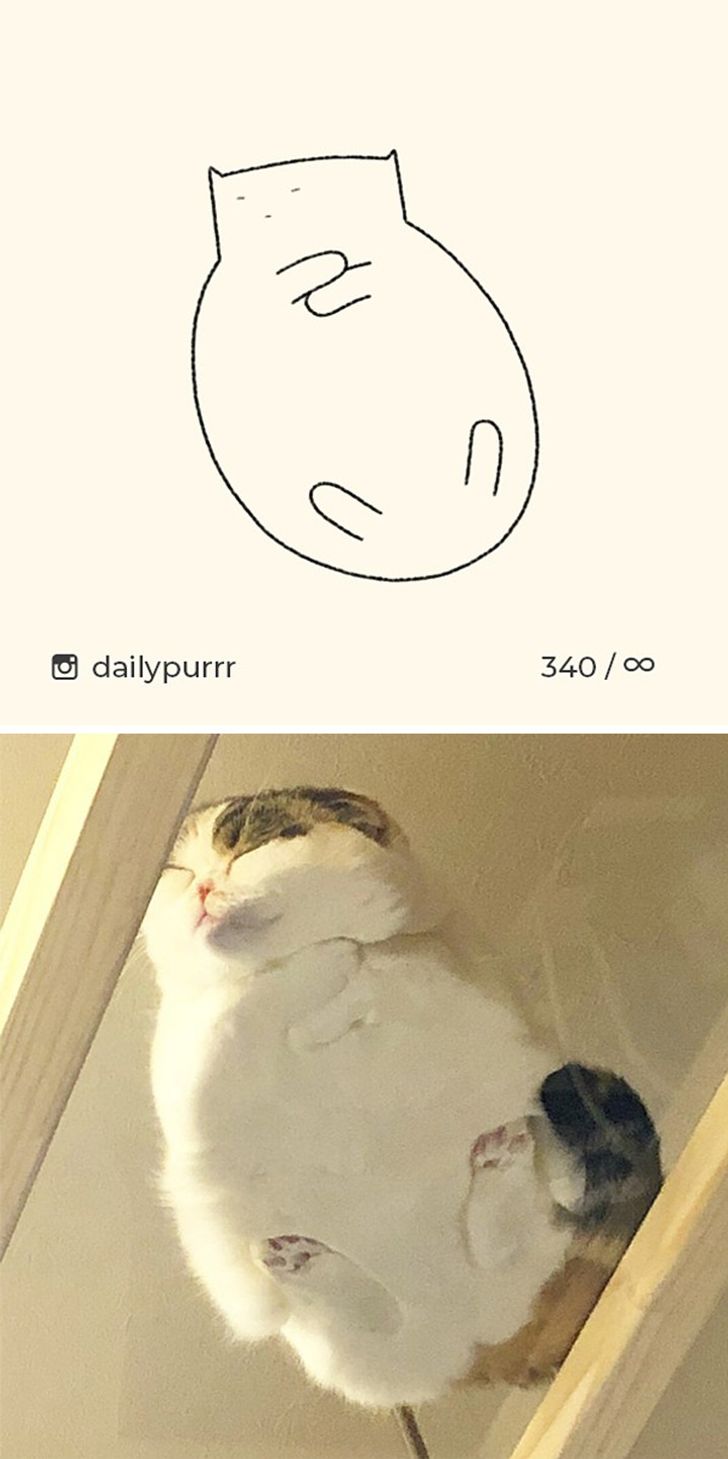 813279504d9e27fbbab282b947