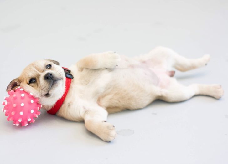 8135c5573186a9e5535582626a