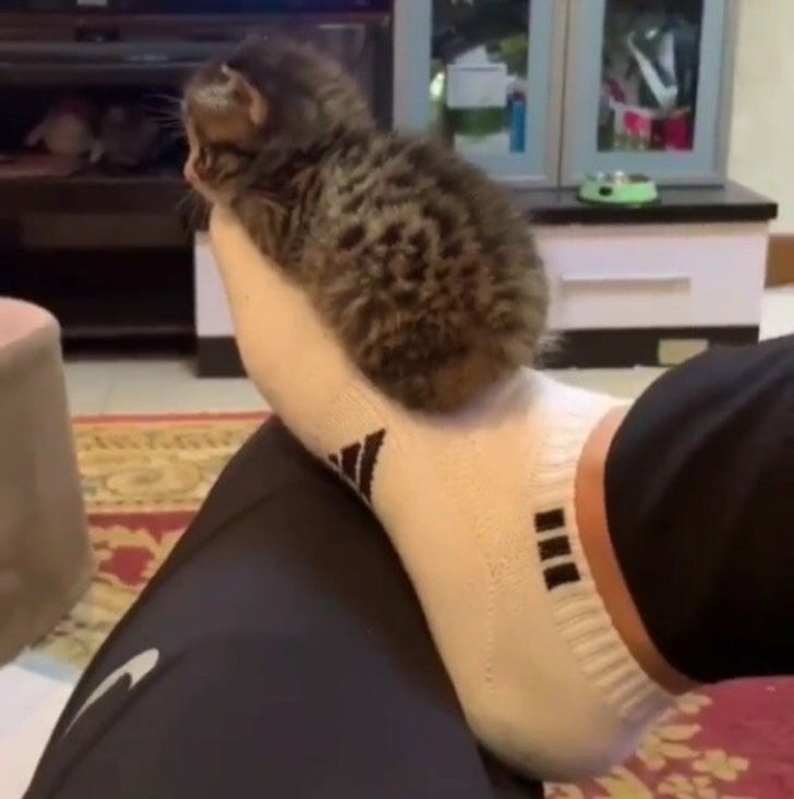 813b13588fa01a2e9d854475c4