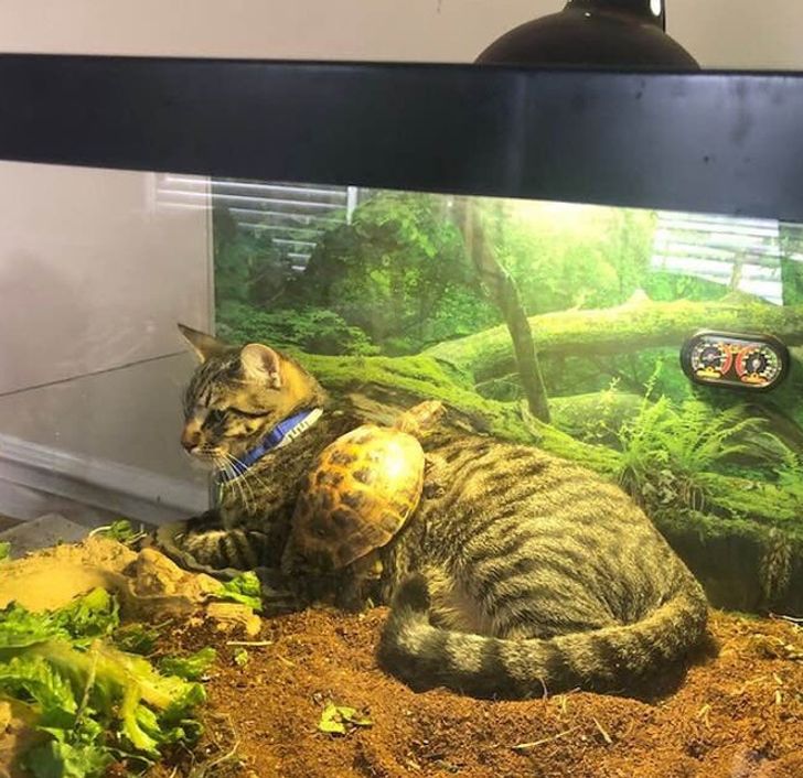 81454f58abbd2ca4e654f59d00