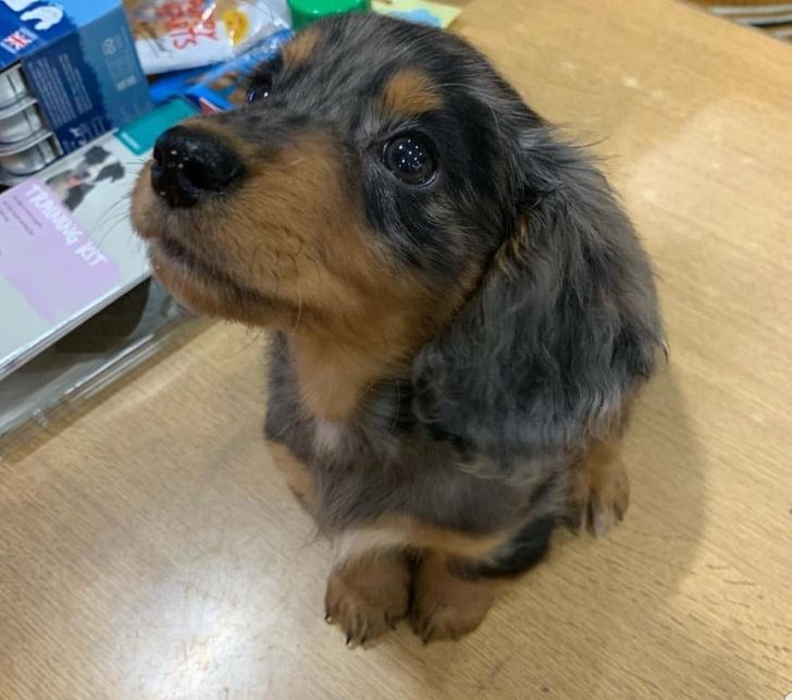 814750569ebc33e41288c16f77