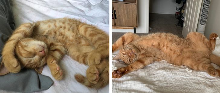 814968592caf65d7971844b983