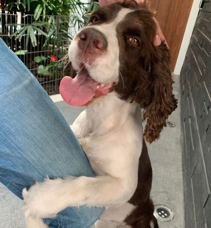 8151d1570ab8cd77567e4d1ccd