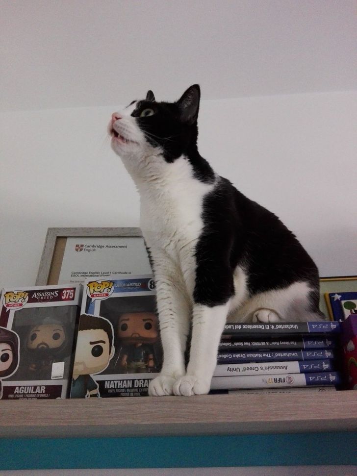 815b6a5ecb8ce7dc5b99c5109d