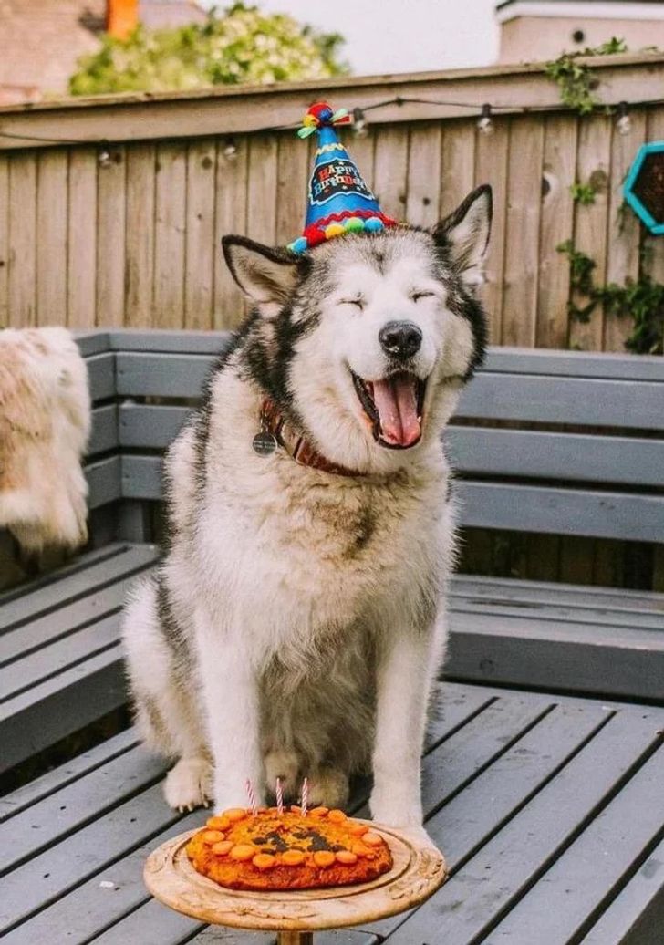 815de958c0985c3313687fd057