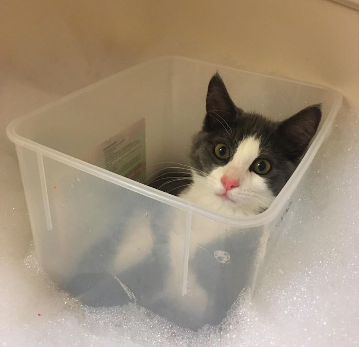 81637758459be2c46958e88683