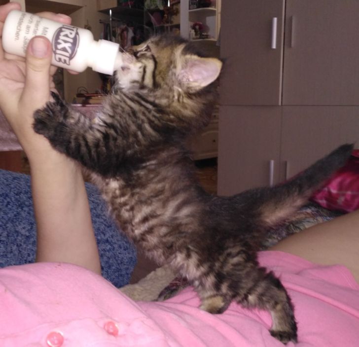 81694458b1abd7dcea13f3f134