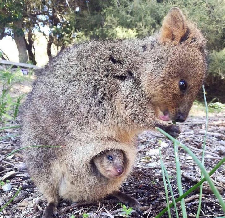 8171065091abb3c2ac531a4355