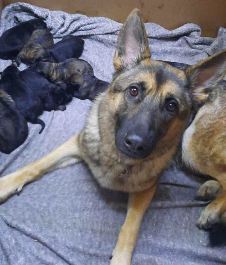 817e365132b185f901a38c57f7 817e365132b185f901a38c57f7