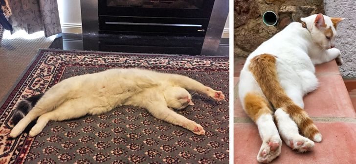 817f1f5575aa497cbfc1364894