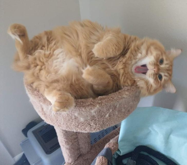 81978551e396e9211fae85c280