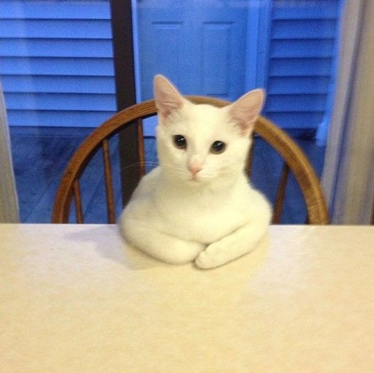 8199c75c74a203235f8d798549