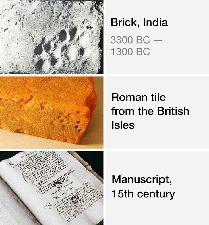 8199e25535bbc609d89d53f3a8