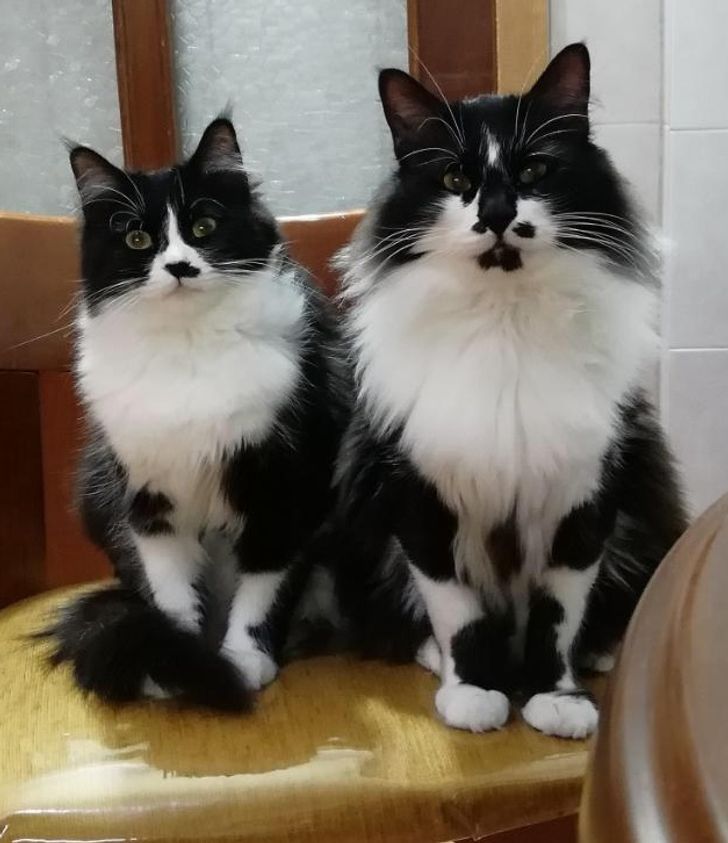 819b2657469608f8d135c69d88 819b2657469608f8d135c69d88