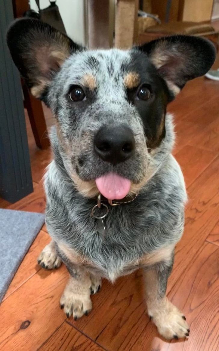 81b20b58028252a89c62b7162c 81b20b58028252a89c62b7162c