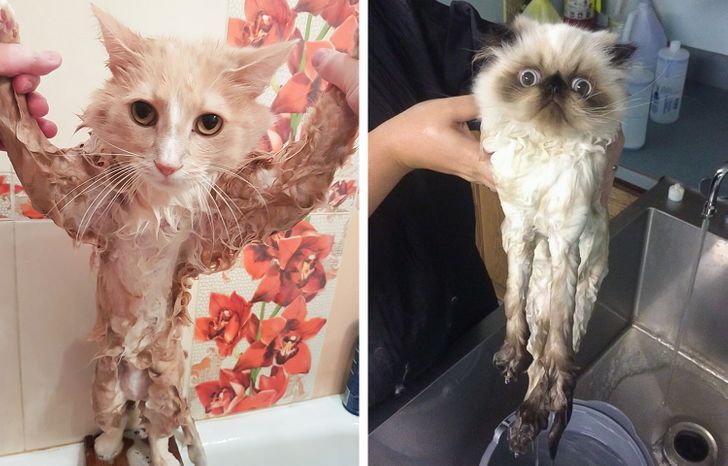 81b3b157f789e561563af3bd20