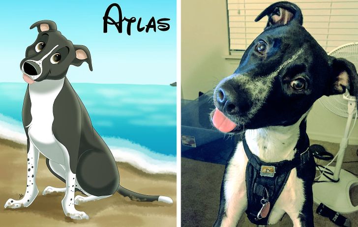 81b9ce5d62a5c3f27d539d0293