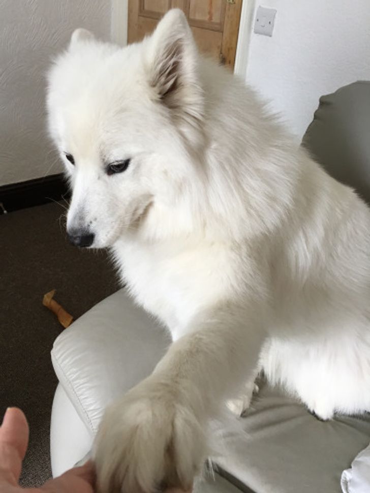 81bb7b547bbfe97c18b8446a26