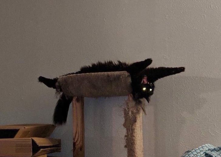 81bc5e556ba4c2784a4823f1cd