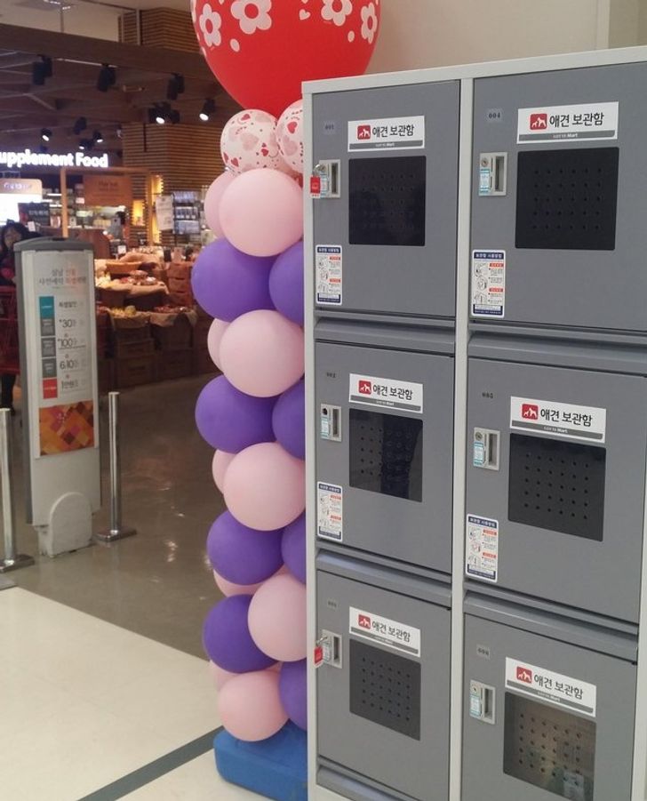 81c1ba50e0b1a013b81f280006