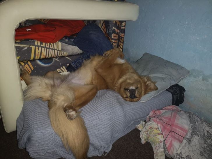 81c4b053fc97650de064617033