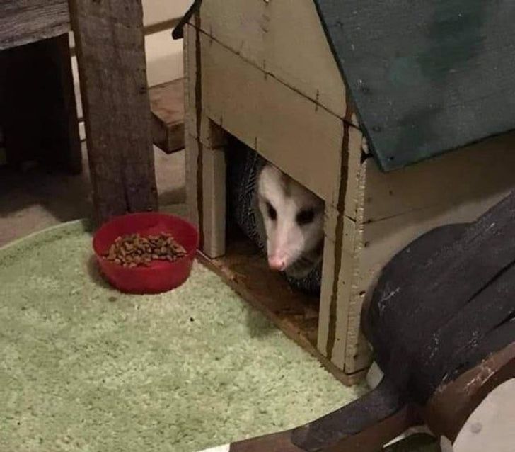 81c50f595b93c595a2e96c520a