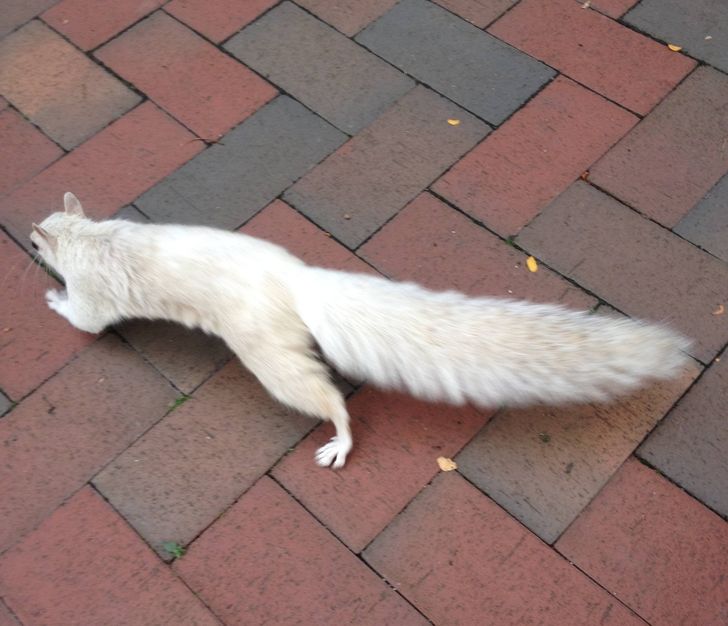 81d0435813831197e98820f522