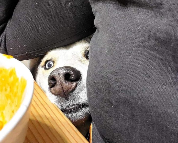 81d1125dcf80d1c0561bc98ec4 81d1125dcf80d1c0561bc98ec4