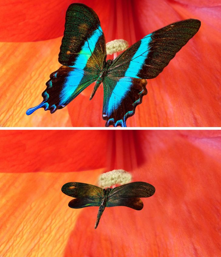 81dd9e5765b55421ca6ee6f63a