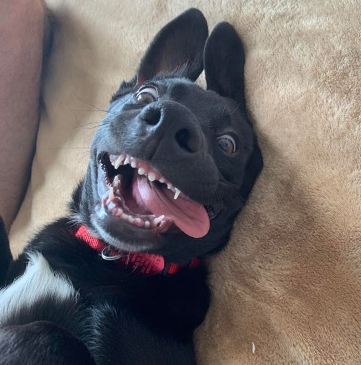 81e3485907a1979cc8c1852ae8