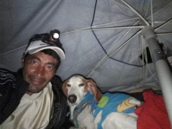 81e3bb5fd697d767f90845e347