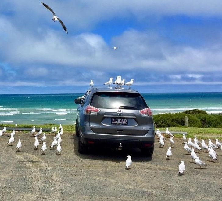 81e5c354a3bd2eb45d2f0b49ee