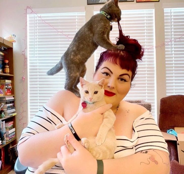 81ecc7568aa0b72b718ed12a65