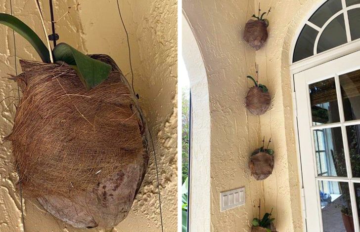 81f00e56b2965d20a9a727c241