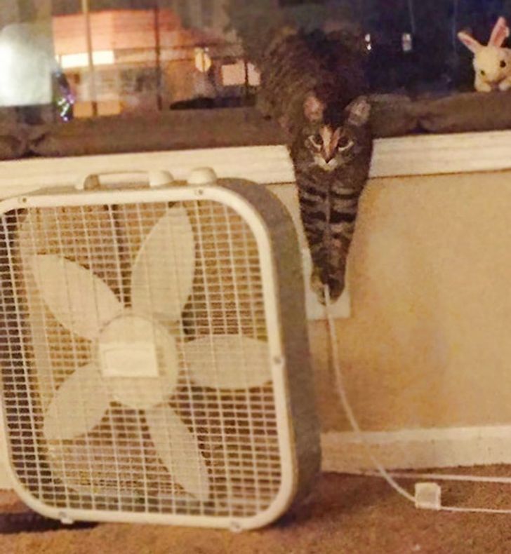 81f0ee5f21b2cabff27193b624