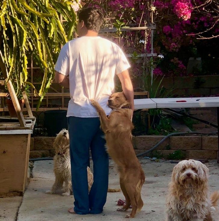 81f3e65e1b8a87da8ef61ca93a