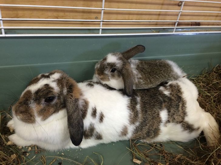 81f58c58cb9bf6400378e1b730