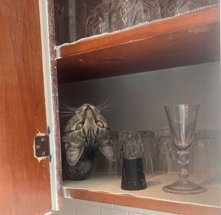 820b725285ba5bbc398e1fd1be