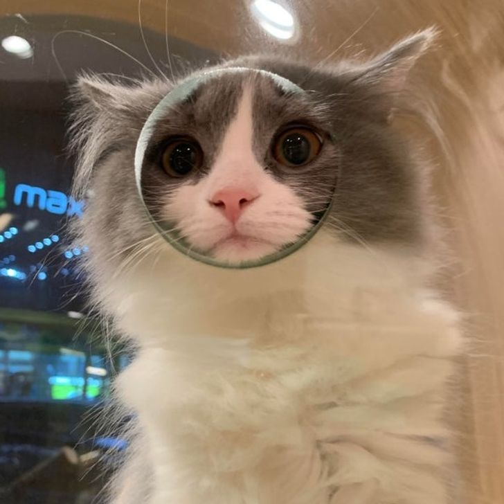 8210235a45901257821778869b