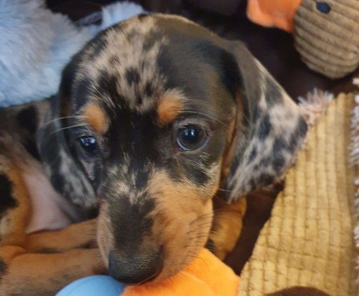 8210cc500a90be5b9918c853c3