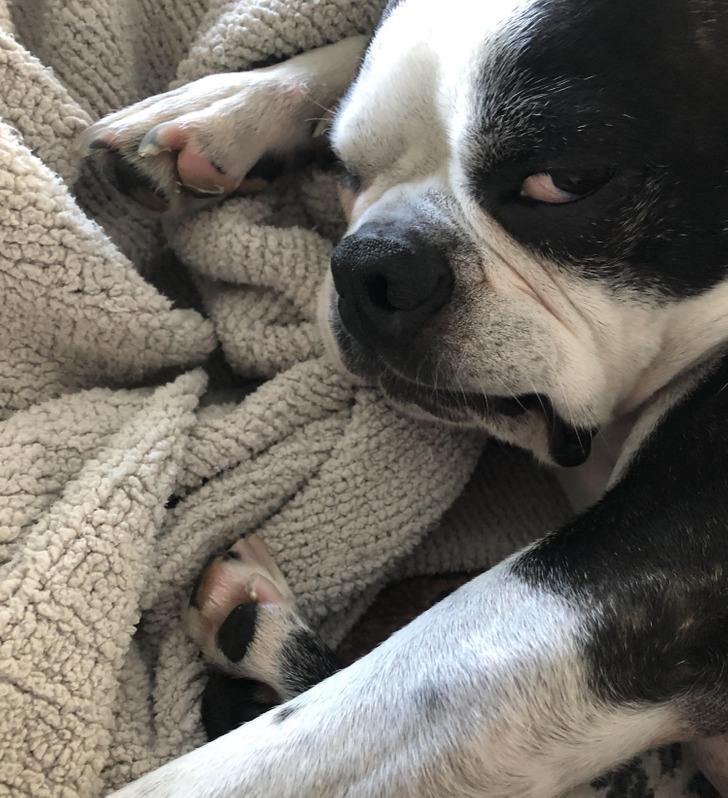 8213b2584b887ea4456d4ca146 8213b2584b887ea4456d4ca146