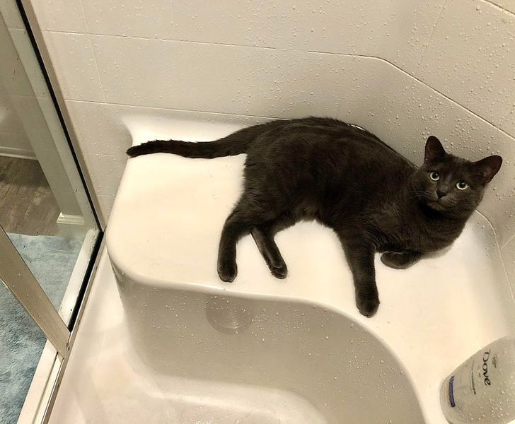 82241d573da05d5f8afa484b7a