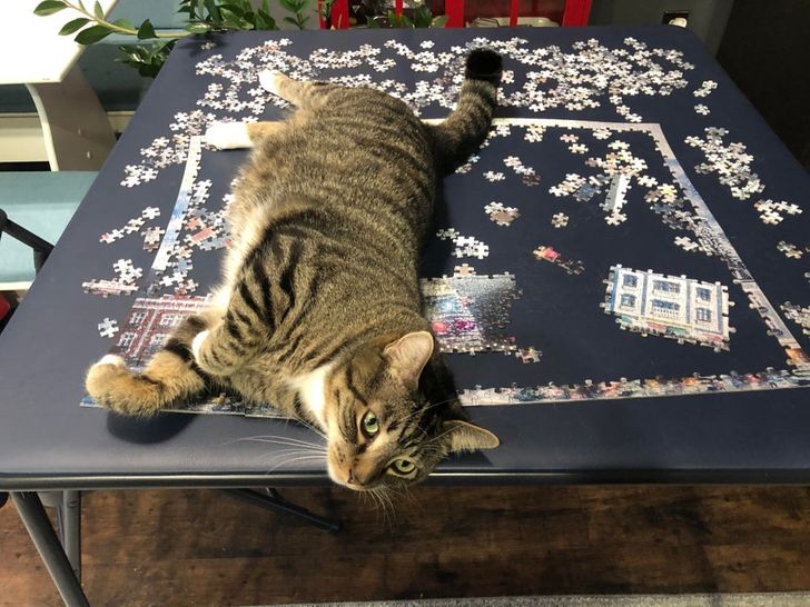 8224ef557ab5da5de6d2806cc5