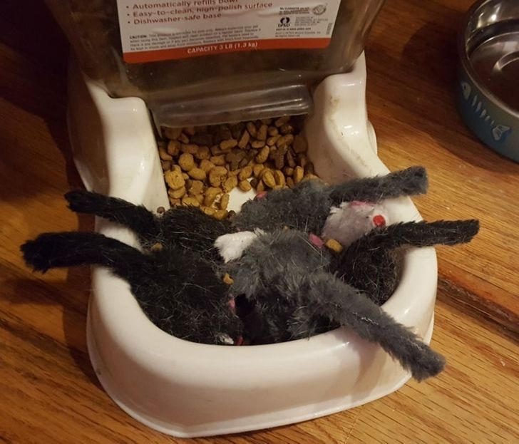 82252e569c834ec98ffe9b5797