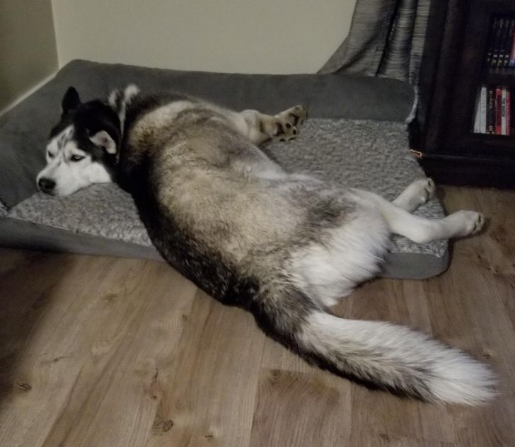 82258559ad8b42e043fa963d6f