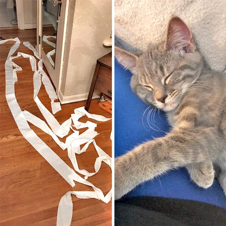 822746594bbd4d02dd0973bef4 822746594bbd4d02dd0973bef4