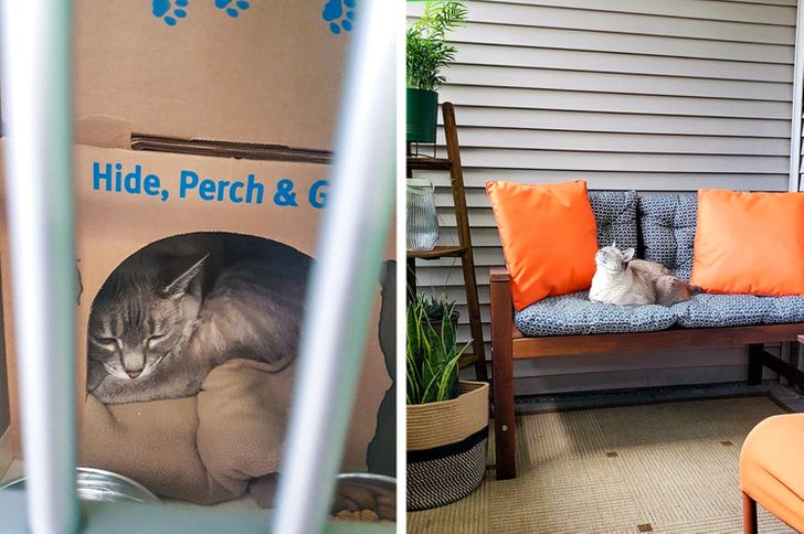 8228c950259d88229ed77eb8a0