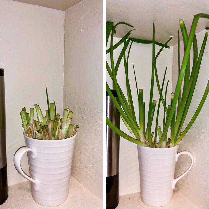 822a8658b38ec1f1932d1915f2