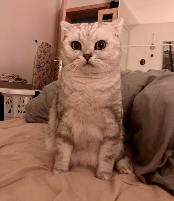 822b2154f3bd3b30980362a549